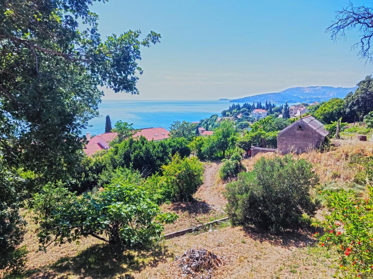 Dubrovnik Moonshine Apartment Mlini Eksteriør billede