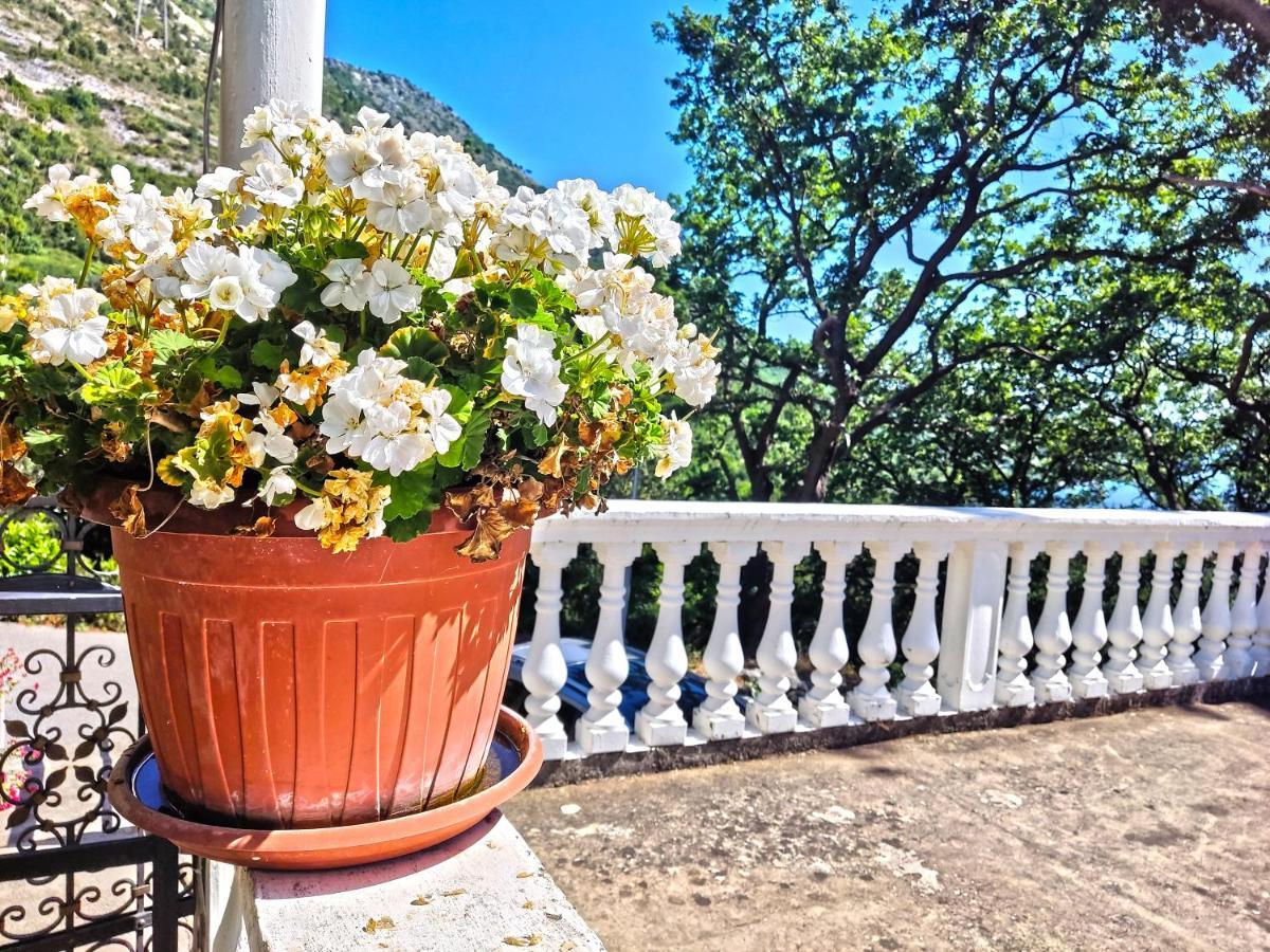 Dubrovnik Moonshine Apartment Mlini Eksteriør billede