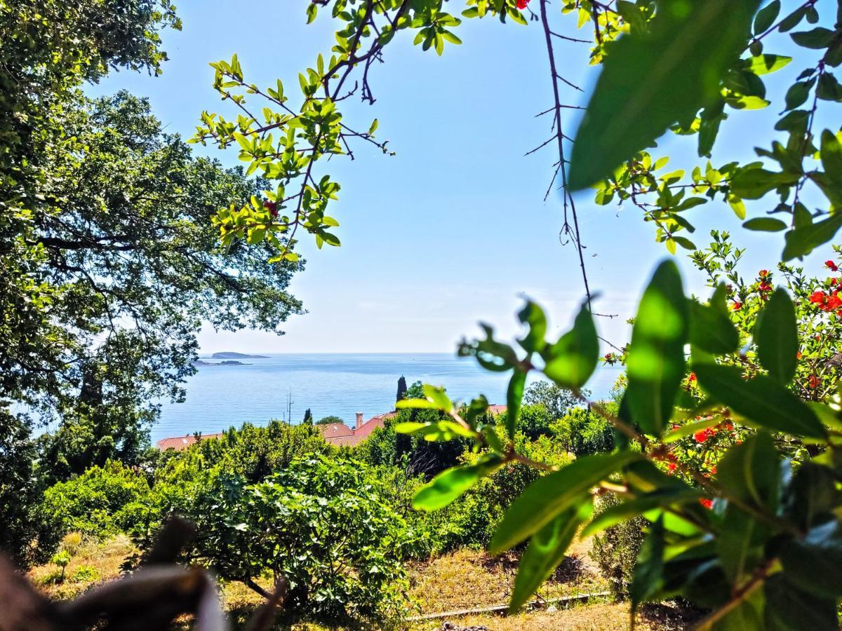 Dubrovnik Moonshine Apartment Mlini Eksteriør billede